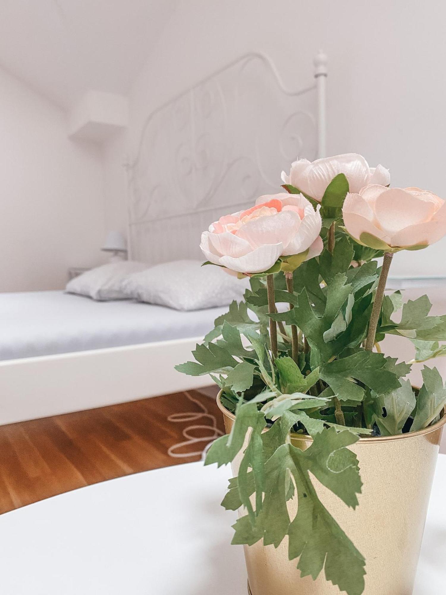 Blue Lotus Apartments 布拉迪斯拉发 外观 照片