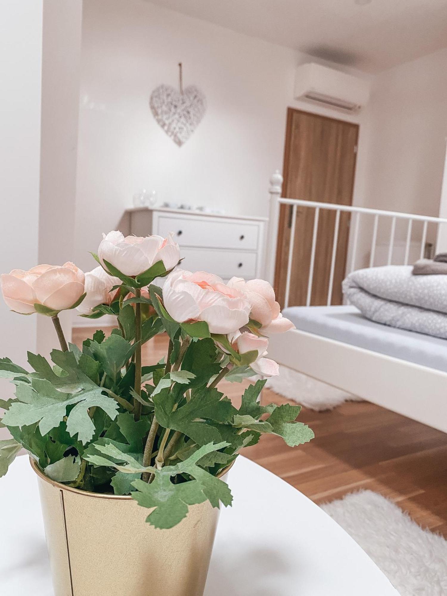 Blue Lotus Apartments 布拉迪斯拉发 外观 照片